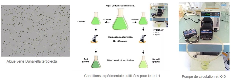 etudes scientfiques hydroflow