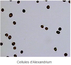 etudes bacteries hydroflow