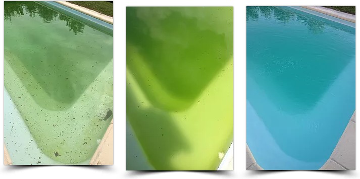 traitement bactéries piscine
